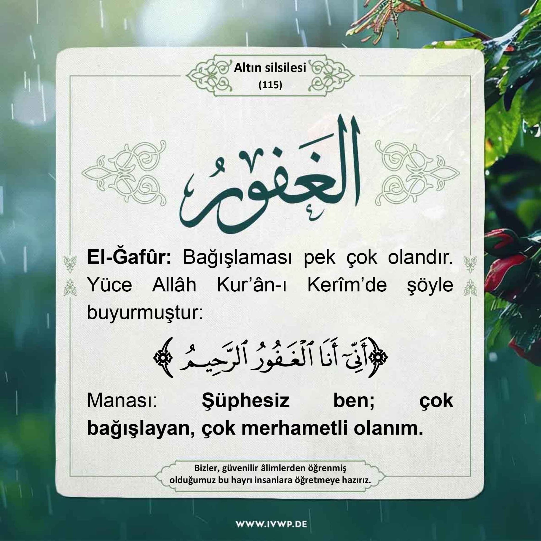 cbc72c84-228e-4087-9fae-d8b7d8d078a8